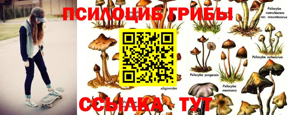 Тобольск  Галлюциногенные грибы Magic Shrooms  Псилоцибиновые грибы ЛСД  где купить наркоту  Вход с VPN 