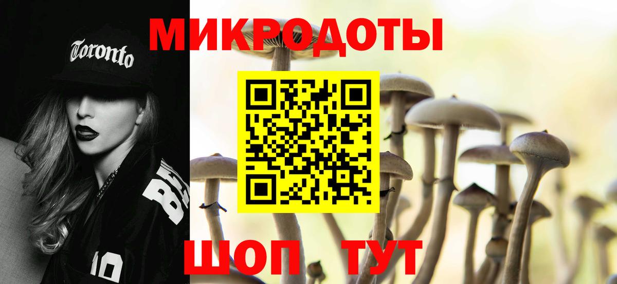 Галлюциногенные грибы Psilocybine cubensis Тобольск